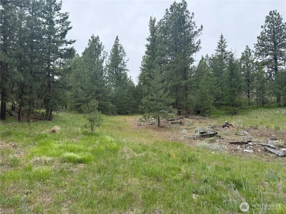 111 TBD Patterson Creek Tonasket, WA 98855