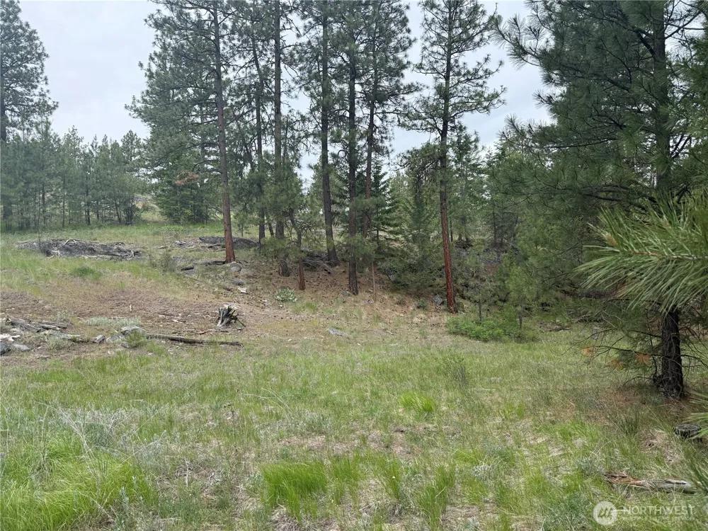 111 TBD Patterson Creek Tonasket, WA 98855