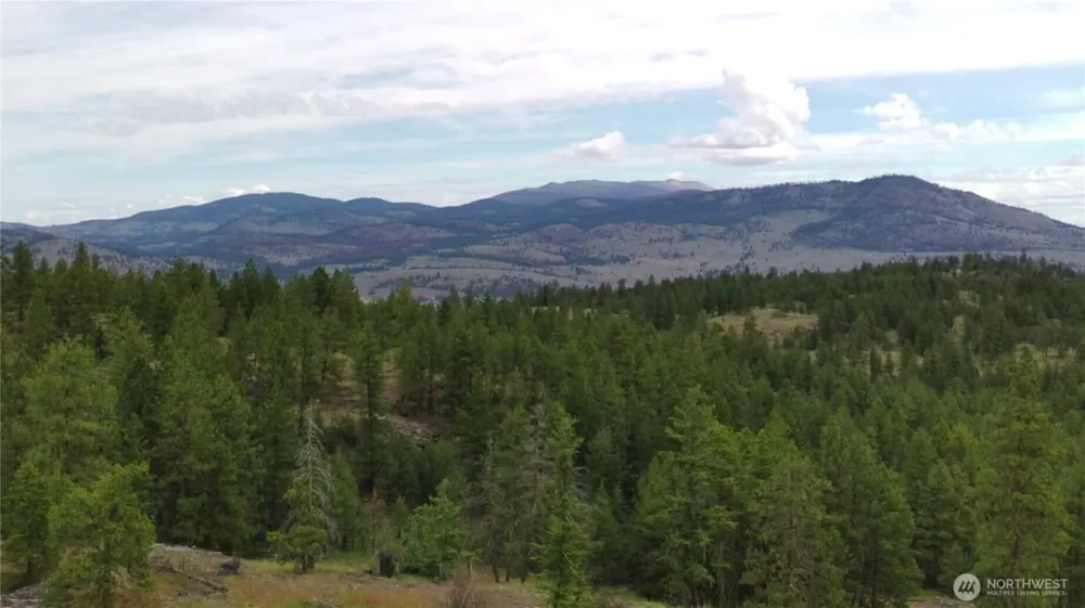 111 TBD Patterson Creek Tonasket, WA 98855
