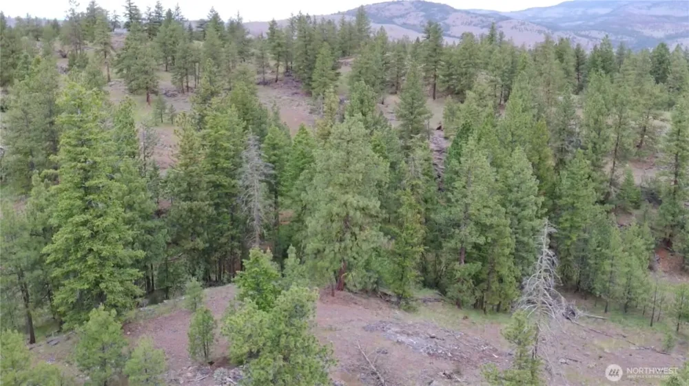 111 TBD Patterson Creek Tonasket, WA 98855