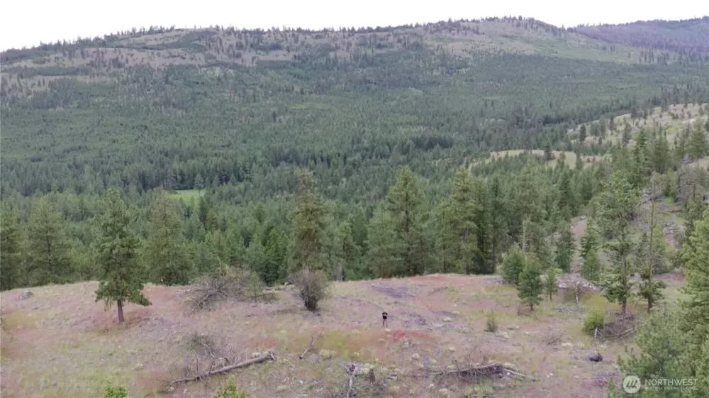 111 TBD Patterson Creek Tonasket, WA 98855