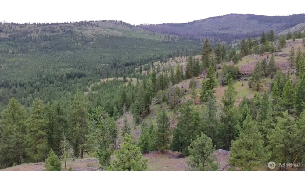 111 TBD Patterson Creek Tonasket, WA 98855