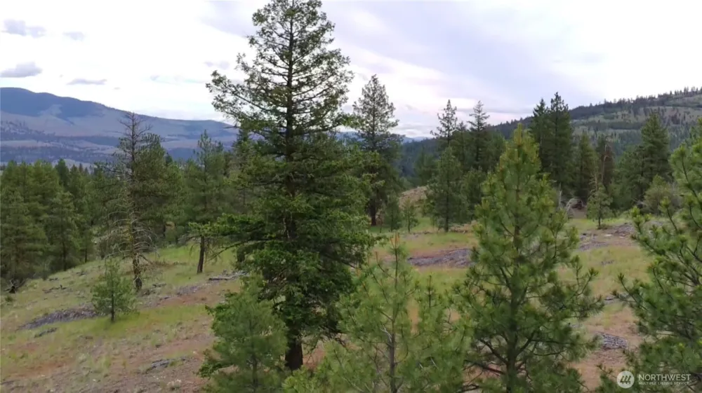 111 TBD Patterson Creek Tonasket, WA 98855