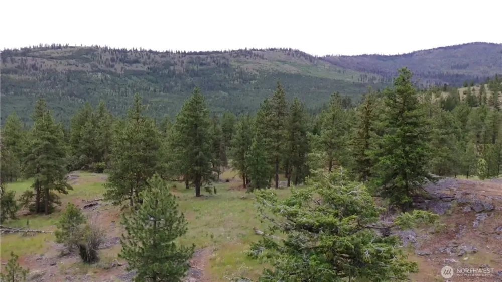 111 TBD Patterson Creek Tonasket, WA 98855