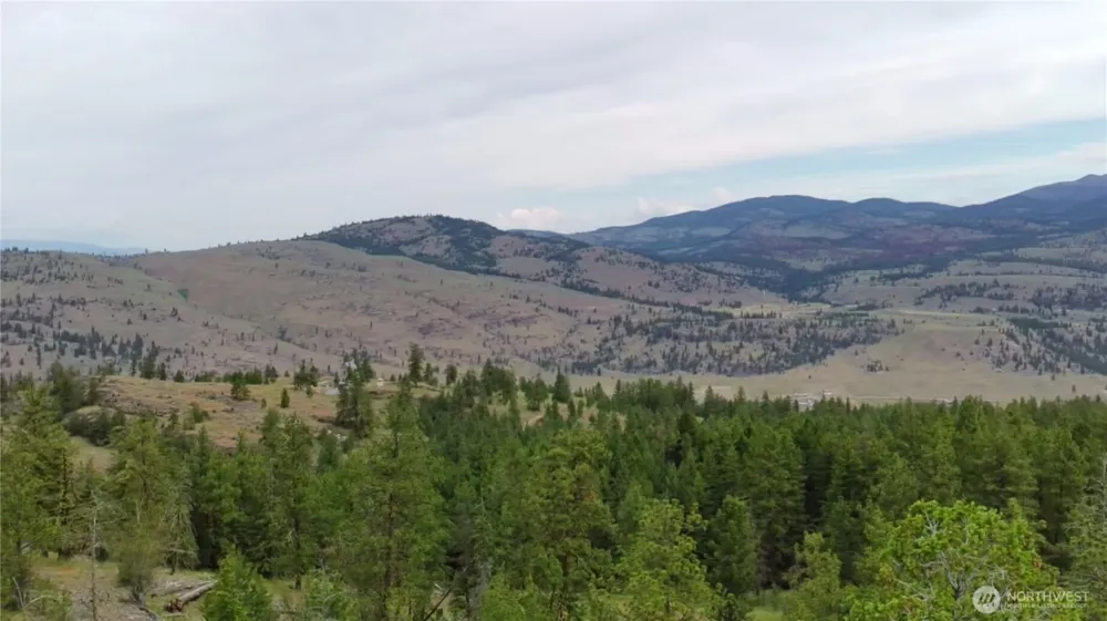 111 TBD Patterson Creek Tonasket, WA 98855