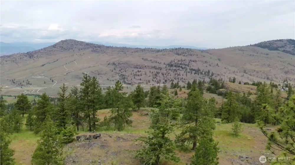 111 TBD Patterson Creek Tonasket, WA 98855