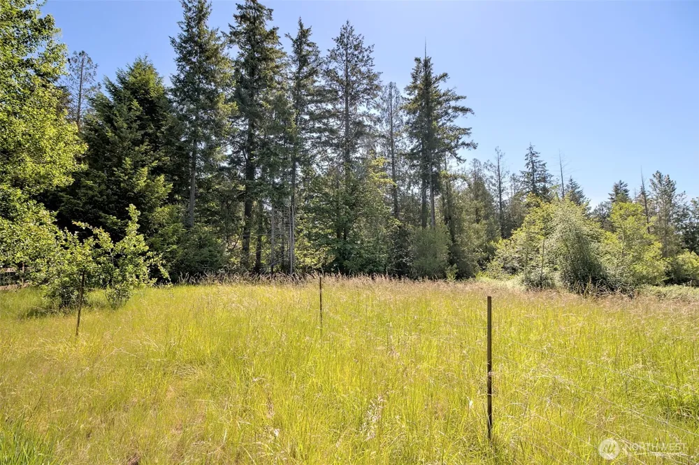 361 North Hill Road Hoodsport, WA 98548