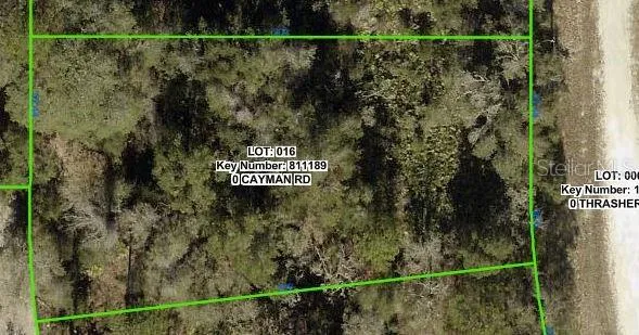 CAYMAN ROAD Weeki Wachee, FL 34614