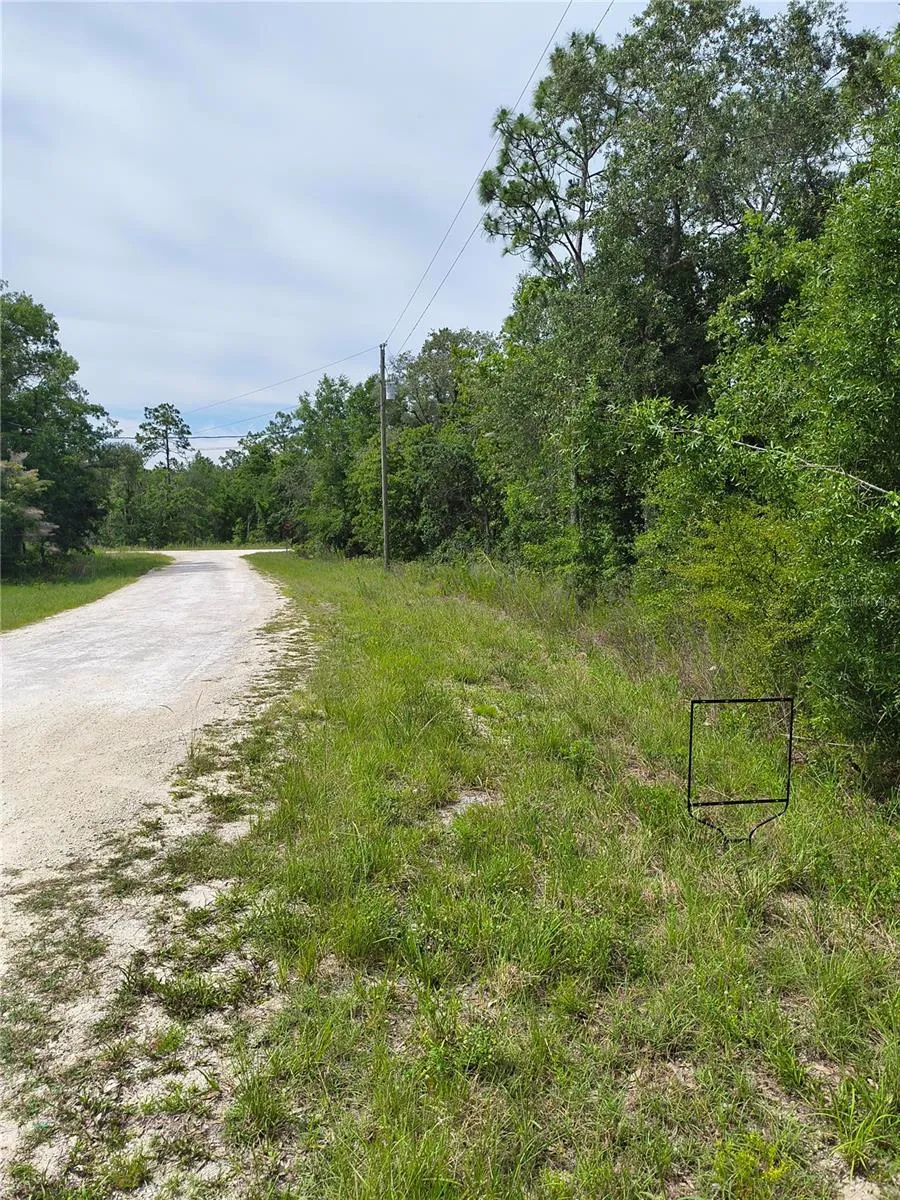 CAYMAN ROAD Weeki Wachee, FL 34614