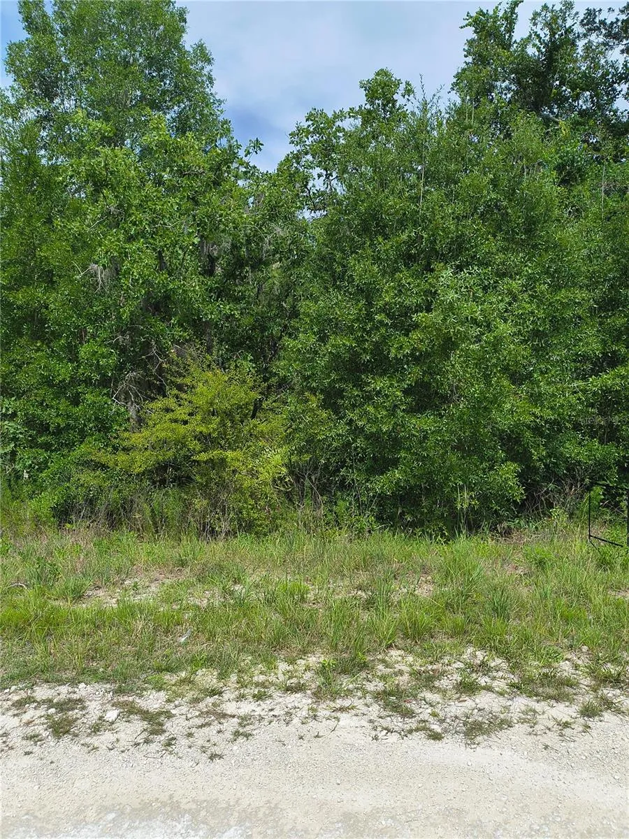 CAYMAN ROAD Weeki Wachee, FL 34614