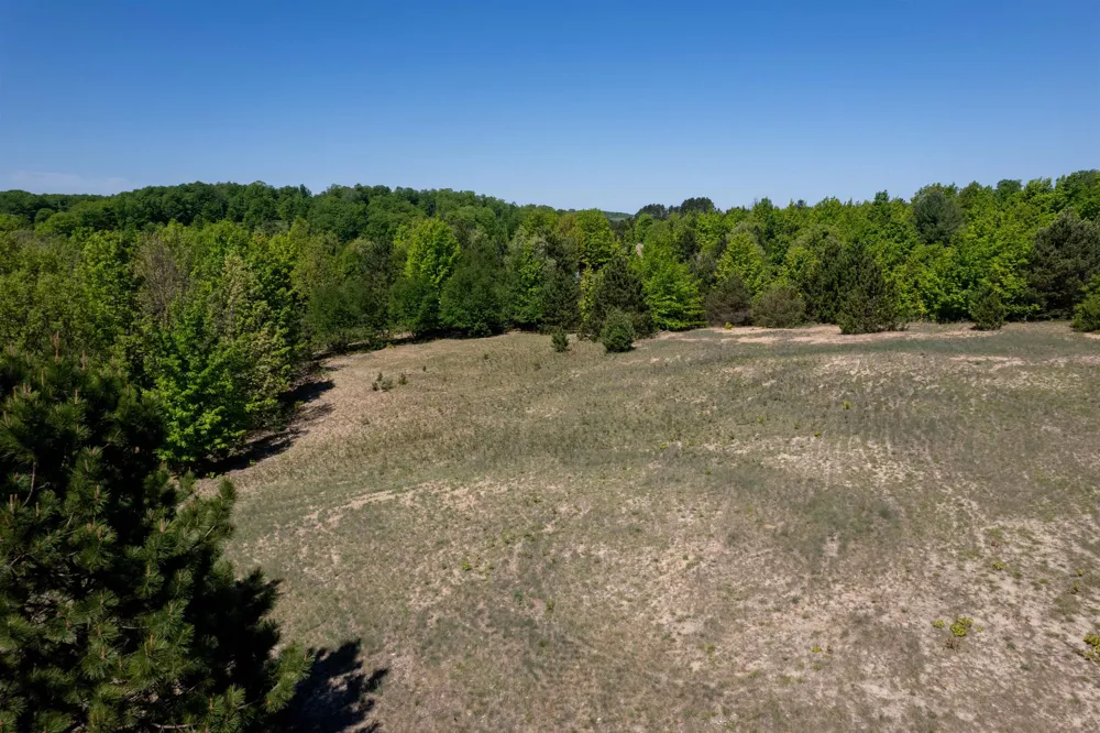 5986 Paradise Ranch Paradise Township, MI 49649