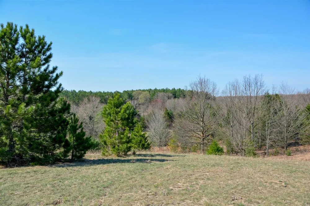 5986 Paradise Ranch Paradise Township, MI 49649