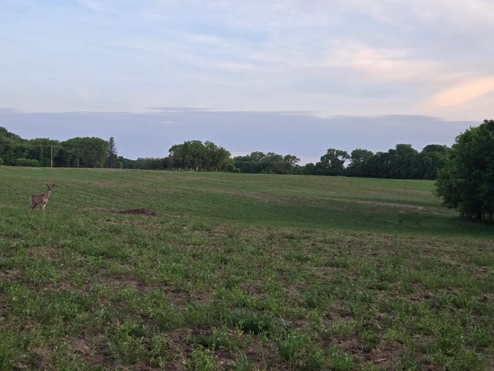 TBD Parcel B County Rd 5 NW Princeton, MN 55371