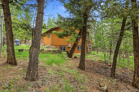 175 Mount Bailey Drive