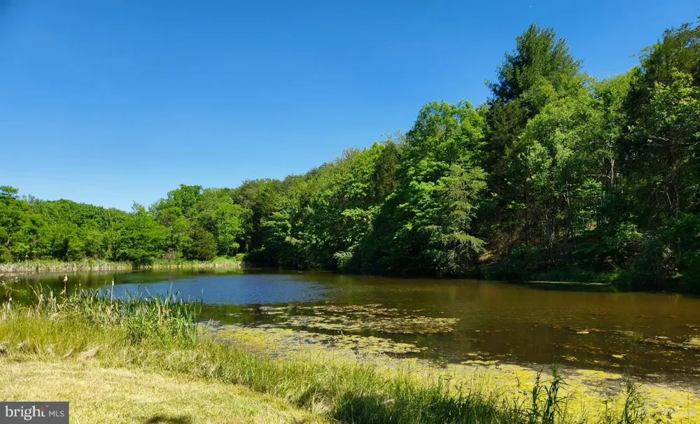312 TANAGER DRIVE Old Fields, WV 26845