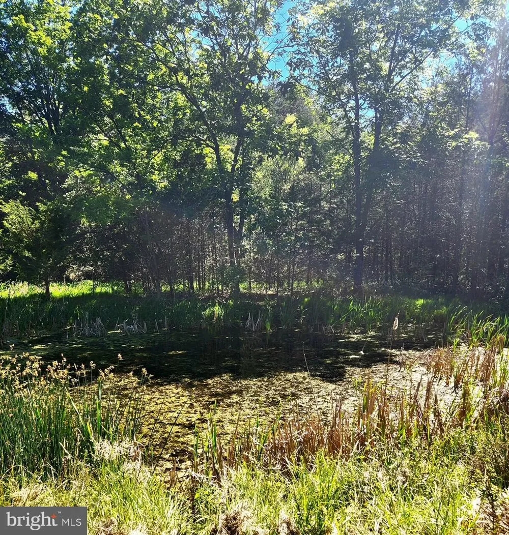 312 TANAGER DRIVE Old Fields, WV 26845