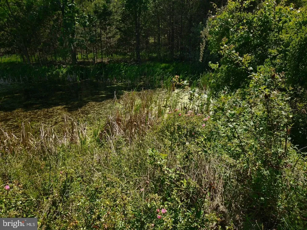 312 TANAGER DRIVE Old Fields, WV 26845