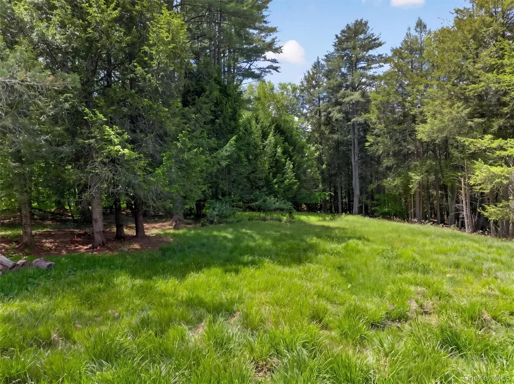 180 Bernas Road Cochecton, NY 12726