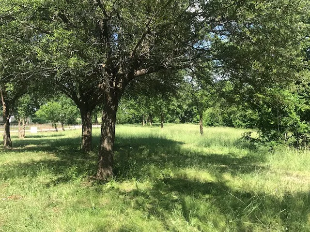 420 Kinney Drive Murphy, TX 75094