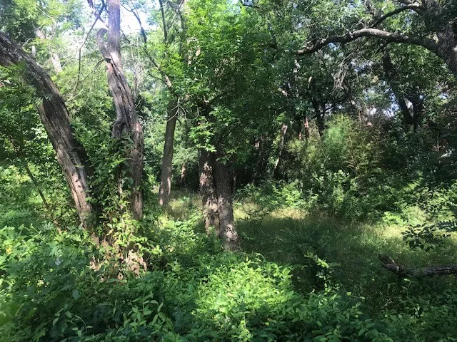 420 Kinney Drive Murphy, TX 75094