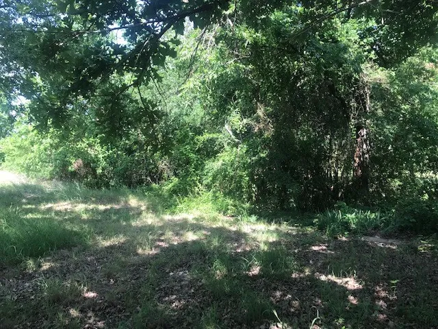 420 Kinney Drive Murphy, TX 75094