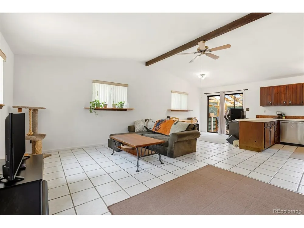 175 Mount Bailey Drive Bailey, CO 80421