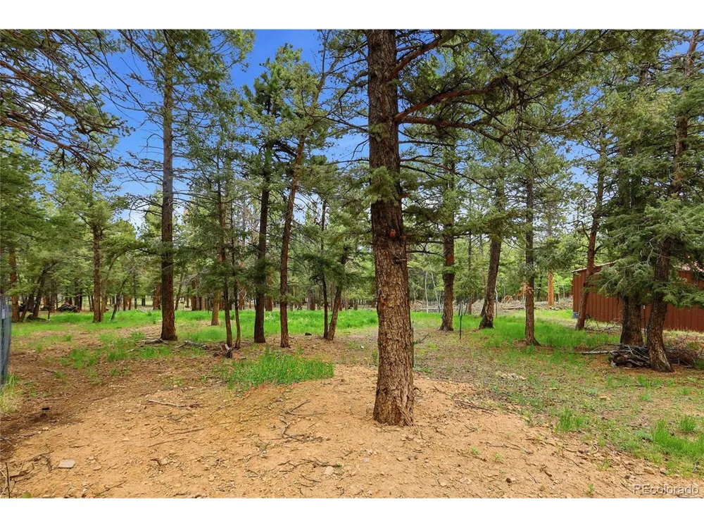 175 Mount Bailey Drive Bailey, CO 80421