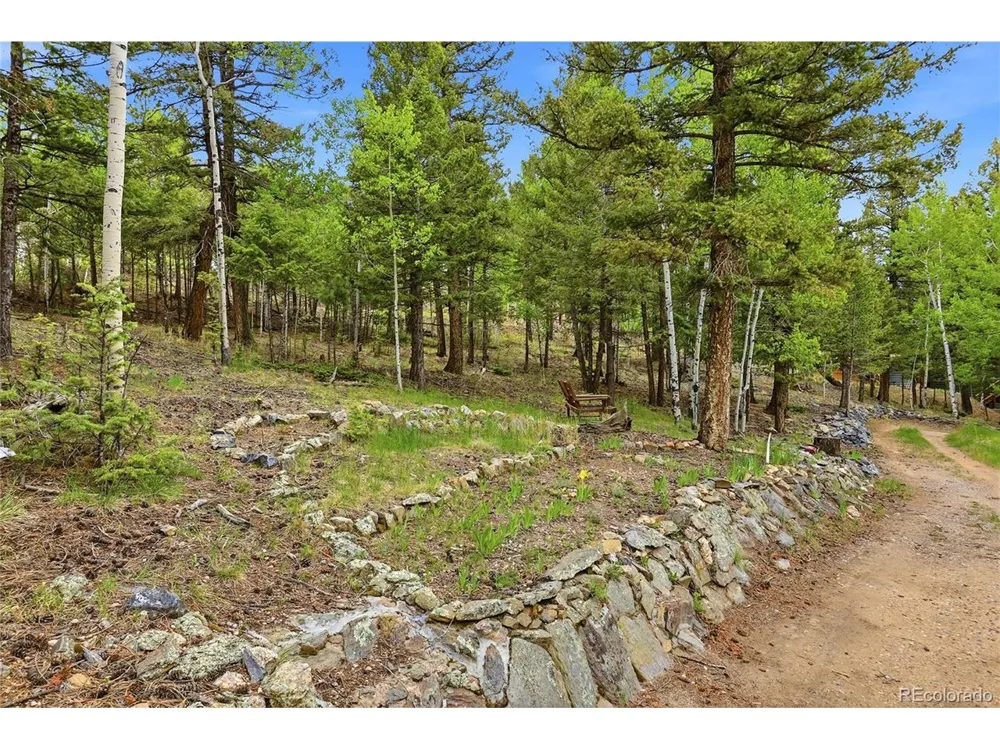 175 Mount Bailey Drive Bailey, CO 80421
