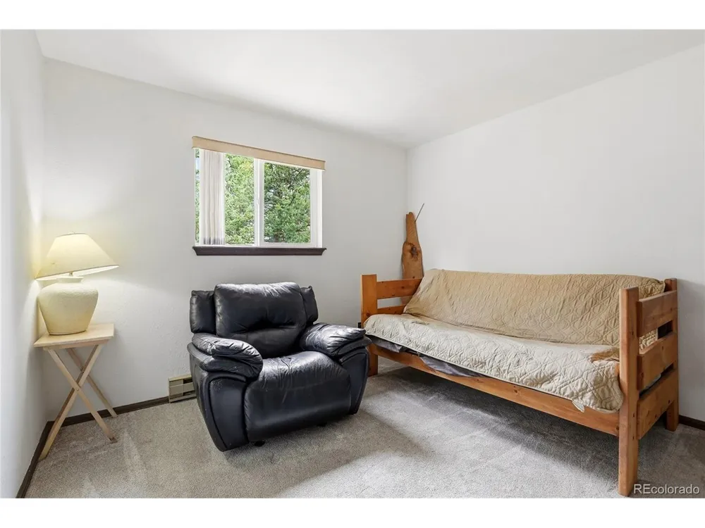 175 Mount Bailey Drive Bailey, CO 80421