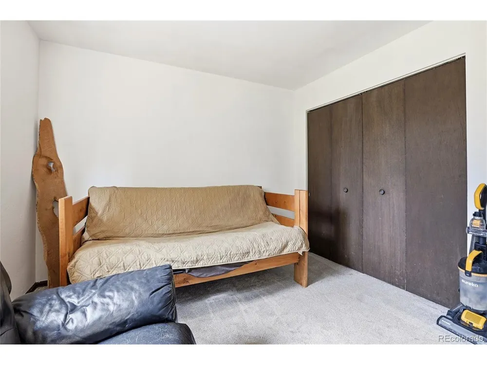 175 Mount Bailey Drive Bailey, CO 80421