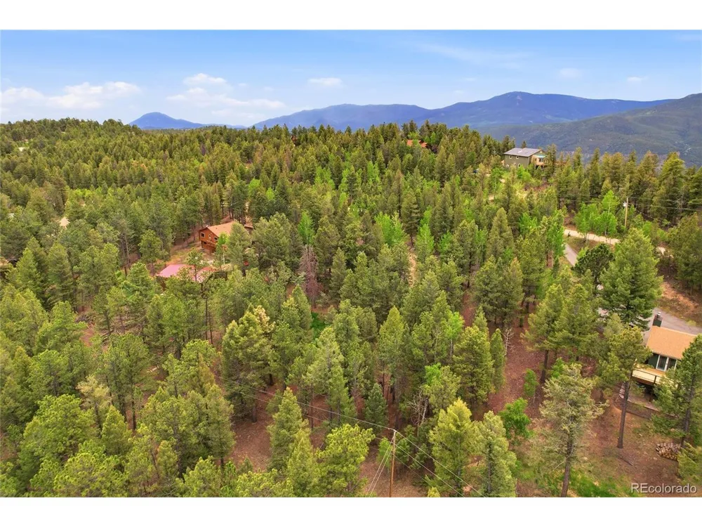 175 Mount Bailey Drive Bailey, CO 80421