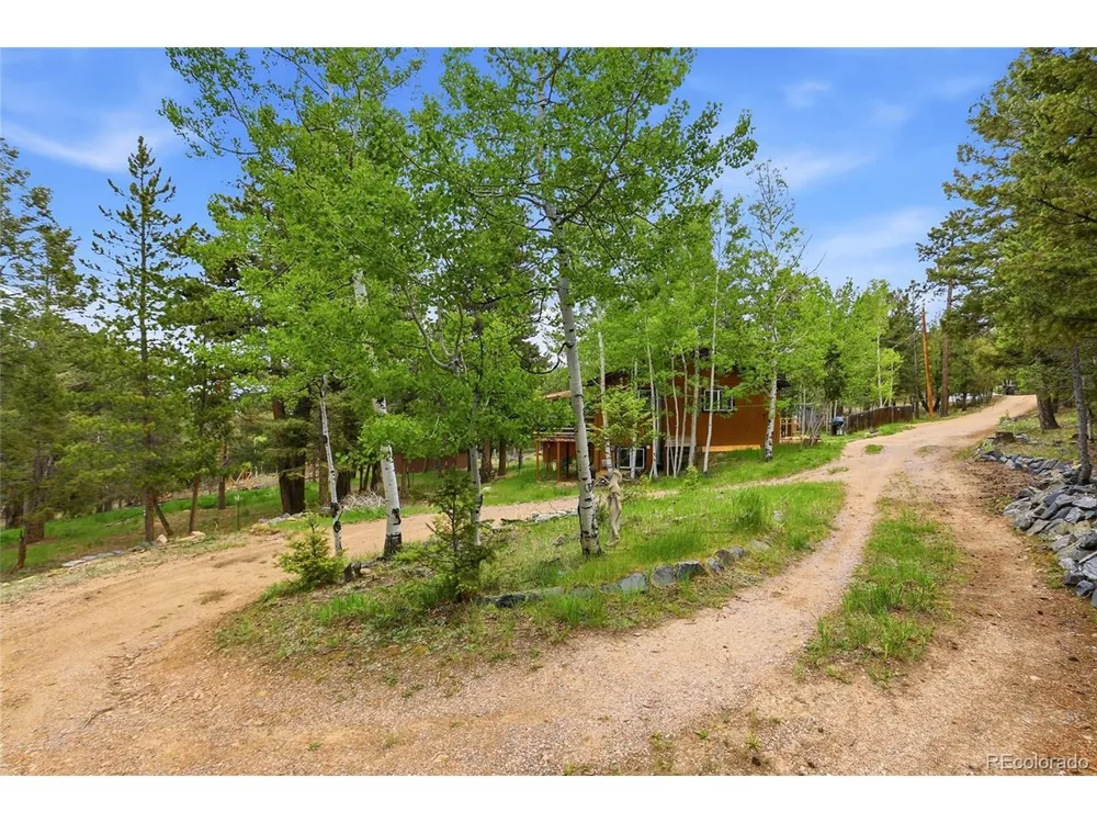 175 Mount Bailey Drive Bailey, CO 80421