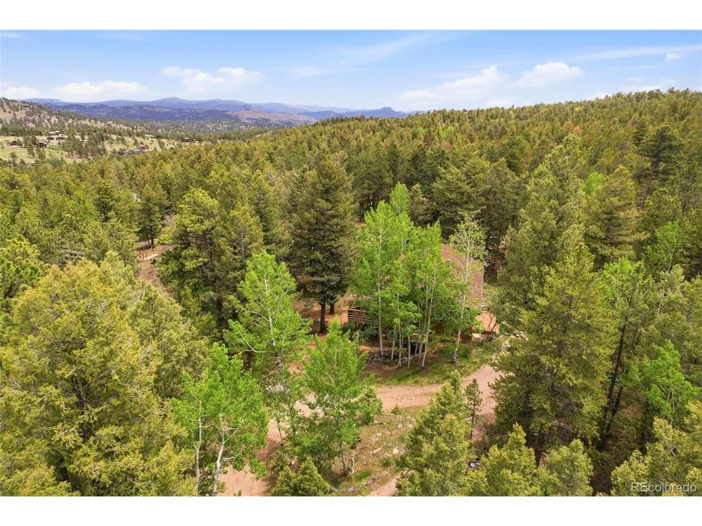 175 Mount Bailey Drive Bailey, CO 80421