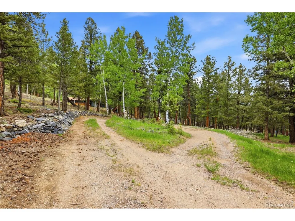175 Mount Bailey Drive Bailey, CO 80421