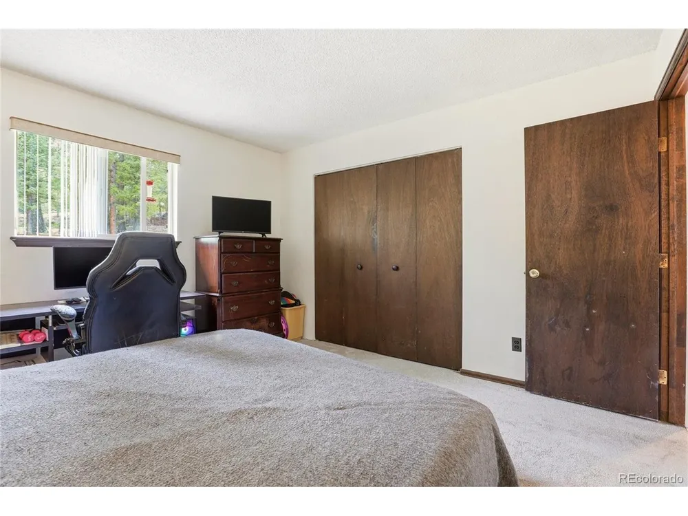 175 Mount Bailey Drive Bailey, CO 80421