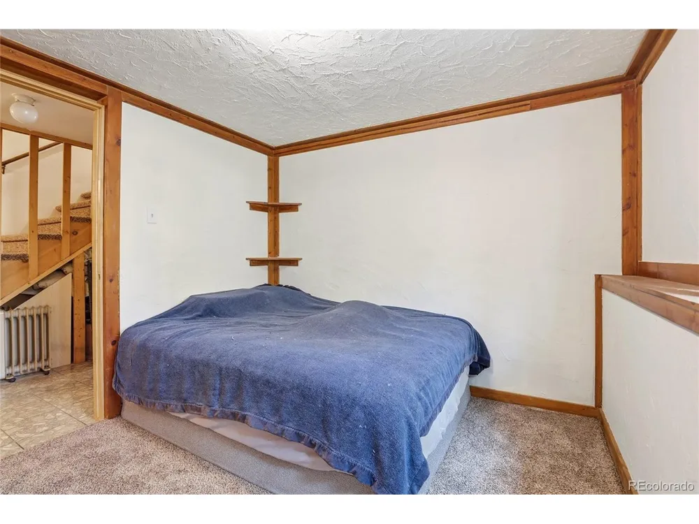 175 Mount Bailey Drive Bailey, CO 80421