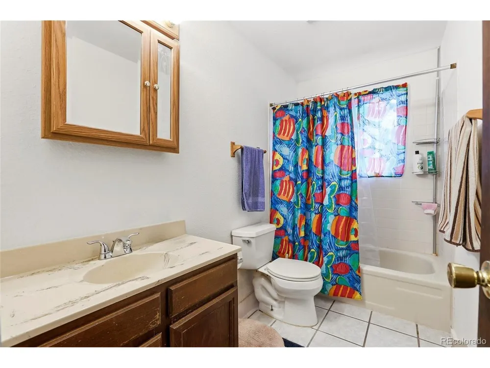 175 Mount Bailey Drive Bailey, CO 80421