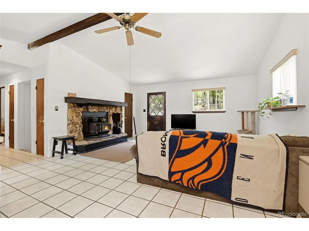 175 Mount Bailey Drive Bailey, CO 80421