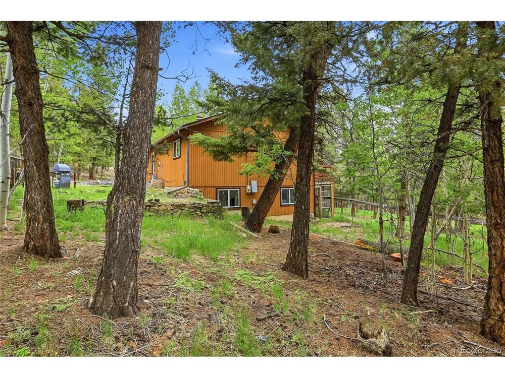 175 Mount Bailey Drive Bailey, CO 80421