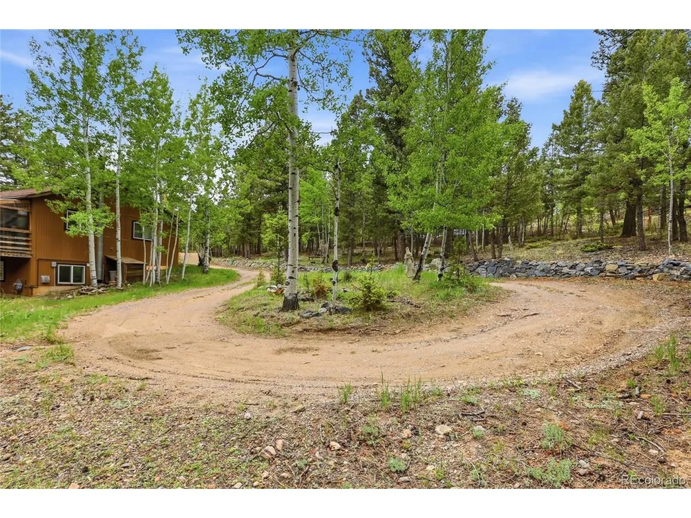 175 Mount Bailey Drive Bailey, CO 80421