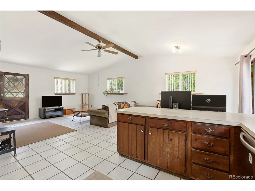 175 Mount Bailey Drive Bailey, CO 80421