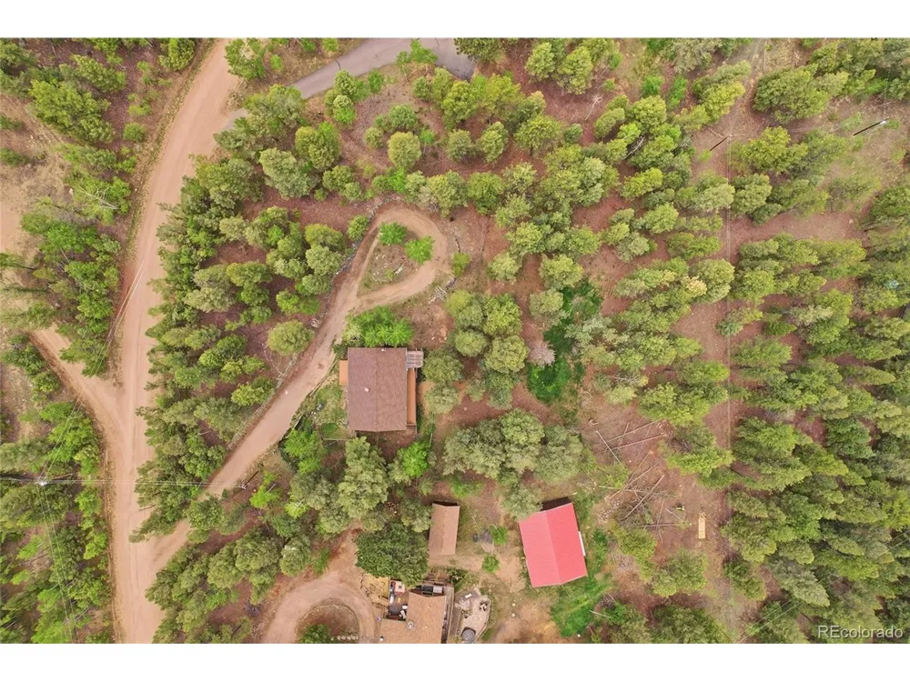 175 Mount Bailey Drive Bailey, CO 80421