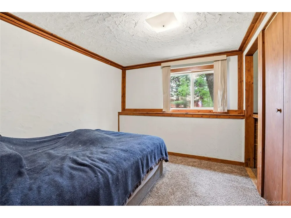 175 Mount Bailey Drive Bailey, CO 80421