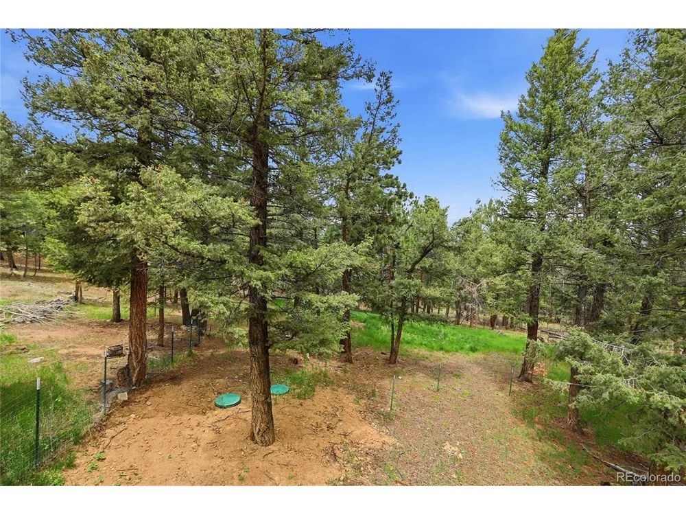 175 Mount Bailey Drive Bailey, CO 80421