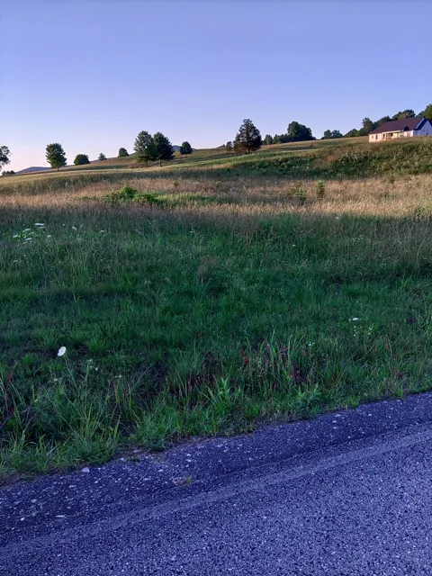 0 Collins Run