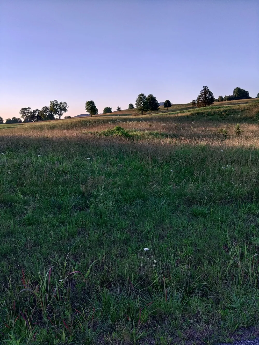 0 Collins Run Mc Minnville, TN 37110