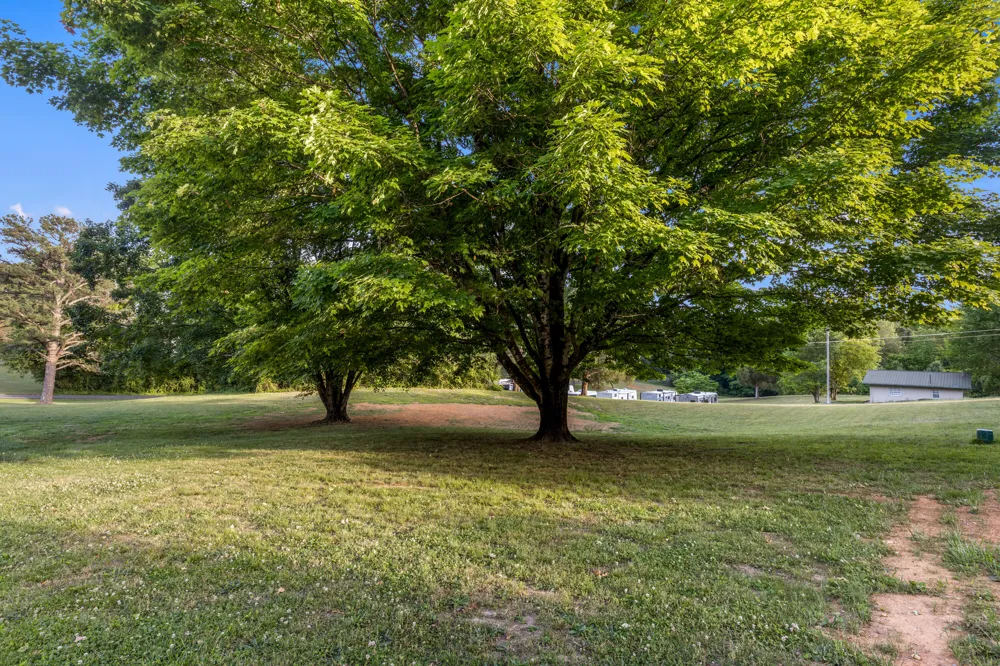 552 Dreamland Road Spring City, TN 37381