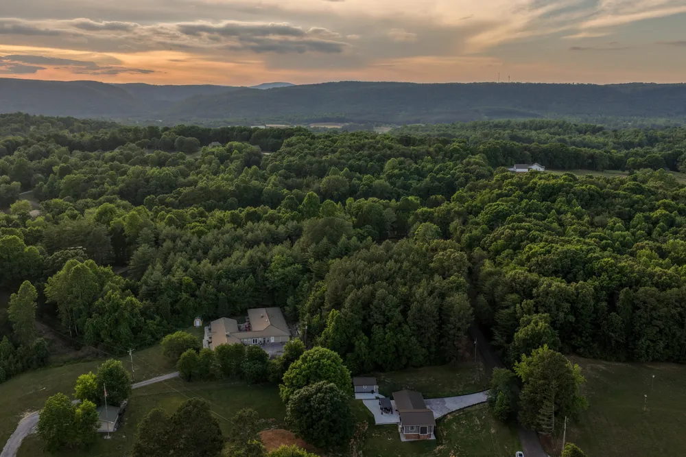 552 Dreamland Road Spring City, TN 37381
