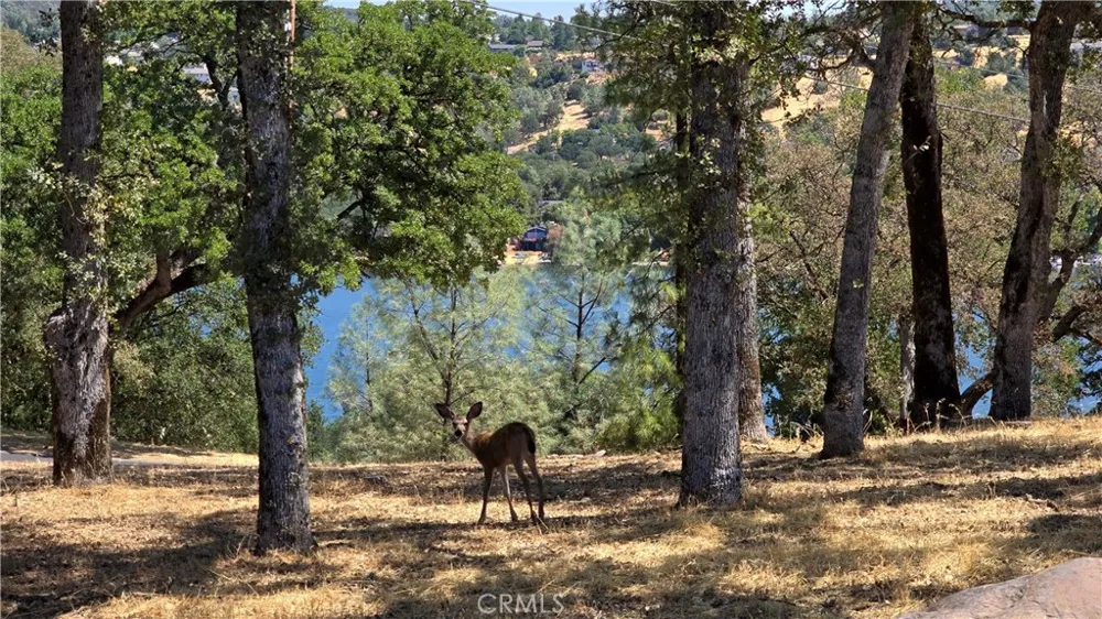 18379 Lakeridge Hidden Valley Lake, CA 95467