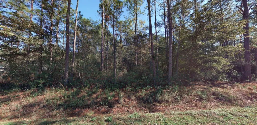 9910 CROTTY AVENUE Hastings, FL 32145